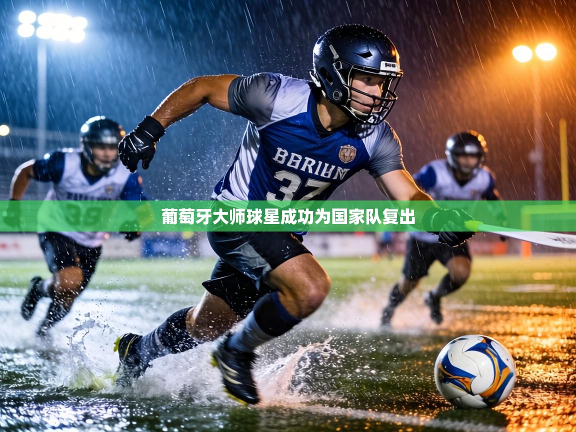 葡萄牙大师球星成功为国家队复出 第1张